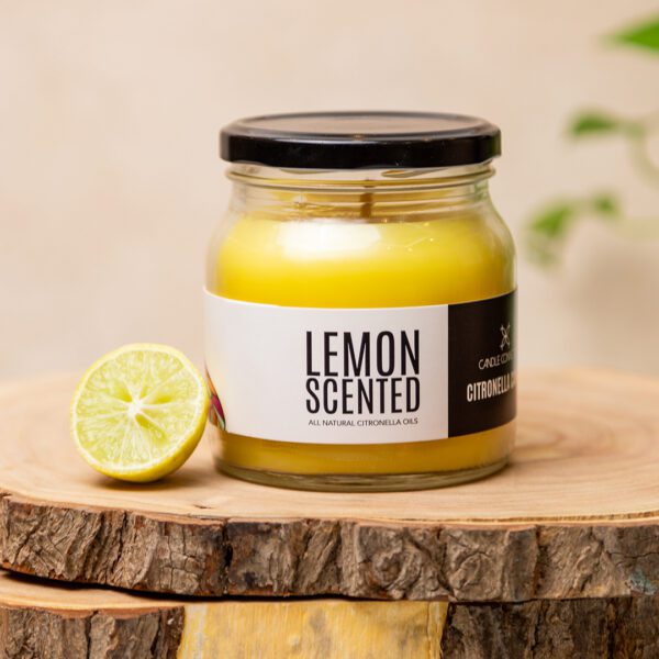 Indoor/Outdoor Citronella Jars In Lemon - Image 4